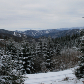 Zimné kráľovstvo hôr