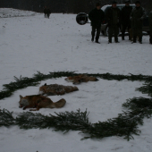 Diviaky nás dnes ignorovali