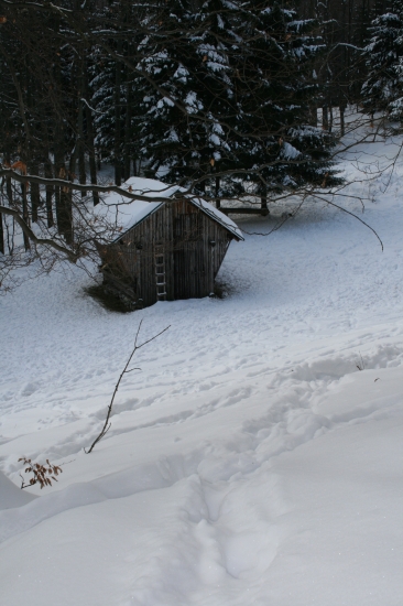 Chodníky vedúce k poživni