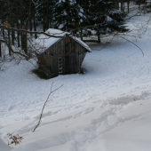Chodníky vedúce k poživni