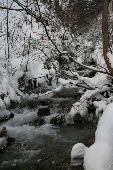 Horský potok Bystrica