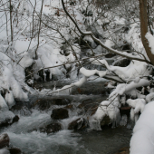 Horský potok Bystrica