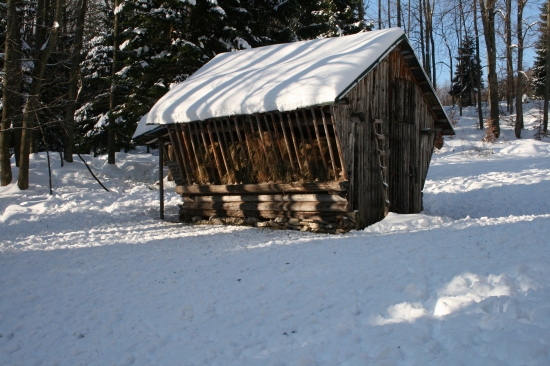 Jeden z obľúbených