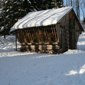 Jeden z obľúbených