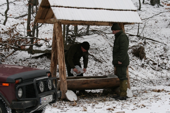 Štefanské prikrmovanie