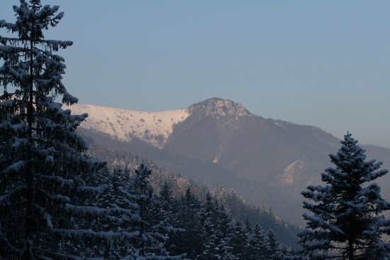 Majerova skala