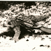 Pekná spomienka