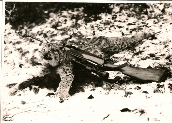 Pekná spomienka