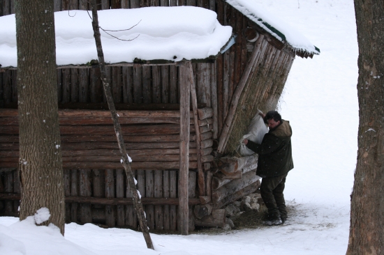 V núdzi poznáš poľovníka