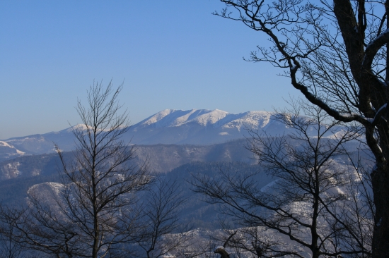 Prašivá