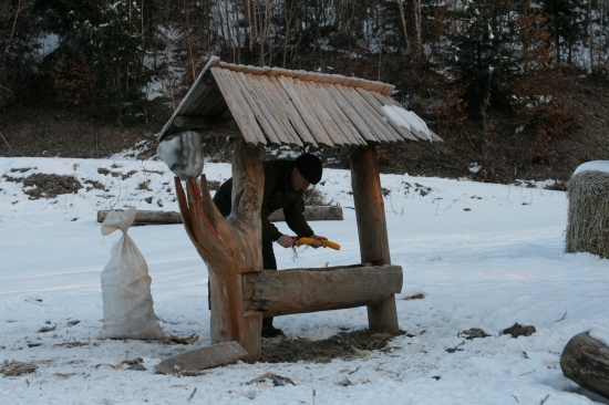 Vyčistiť a doplniť