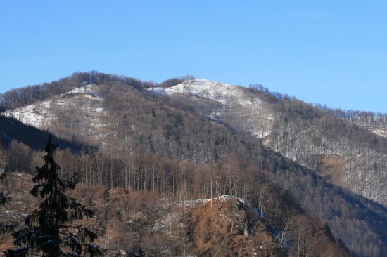 Japeň