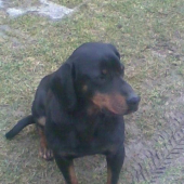 zorka2