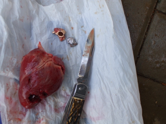 30-06, S&B 9,7 g strižná hrana foto 2