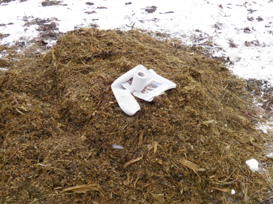 Keby mal náhodou OSAMELÝ VLK pravdu