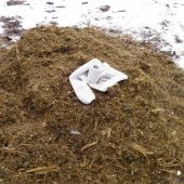 Keby mal náhodou OSAMELÝ VLK pravdu