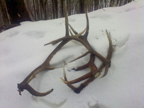 Když se daři-)-)-)