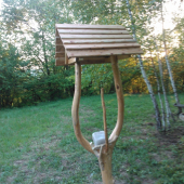 Solisko-)