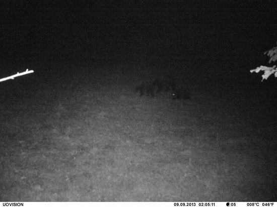 Skoda ze su daleko-)