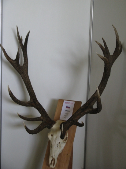 Polovnicka vystava-)-)-)