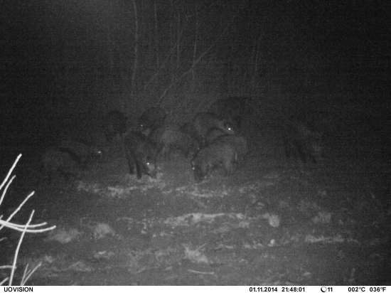 Vraj ze ich niet-)-)-)