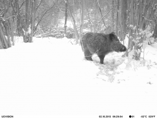 Trošku sa zdržal-)