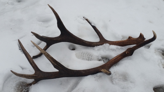 Kamaratov 14-torák.