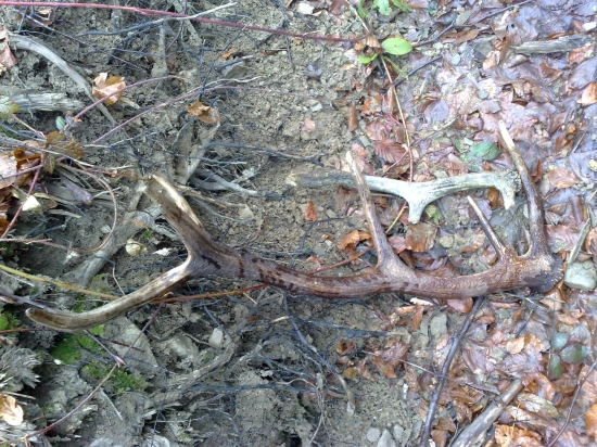 Ešte sa stale najdu-)