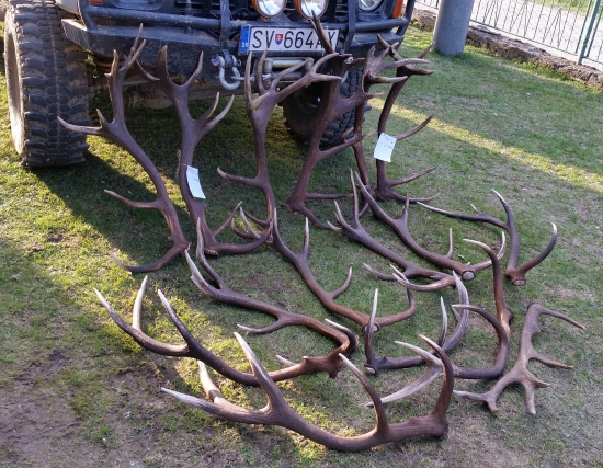 Na to mi stačily čtyři dny:)