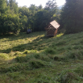 uz pokosene