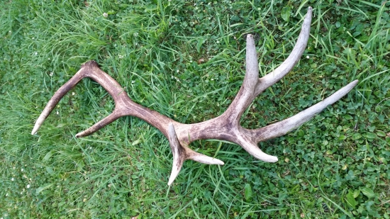 ešte sa najdu aj take.....)