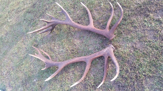 ...jeden je o rok starši...