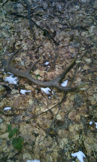 takto na mna čakal...