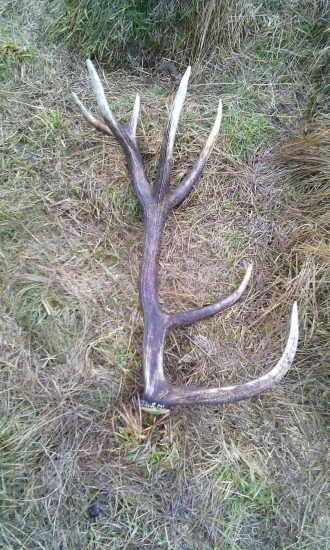 rok musel čakať....