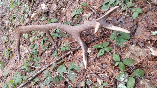 takto na mna čakal...