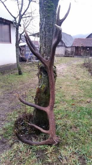 ...kamaratov valybuk...