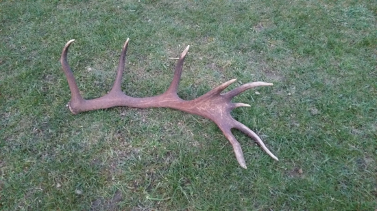 škoda že len jeden...