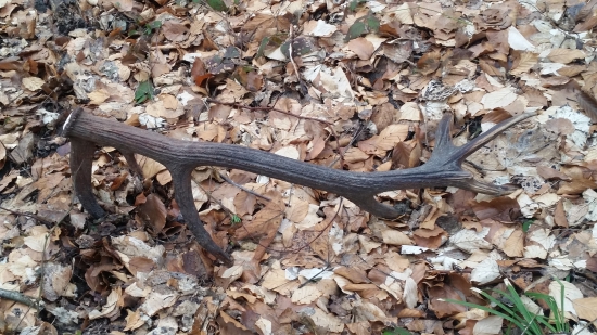 Nnecekane prekvapeni