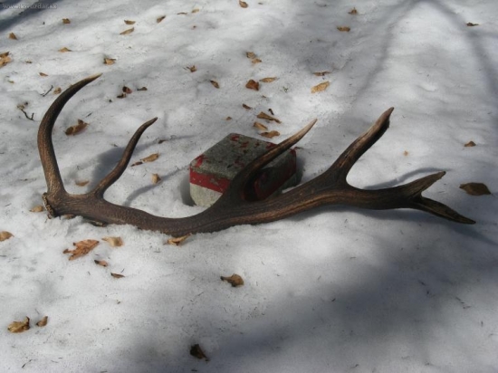 Dvanáctorák 2, druhý sa nenašiel