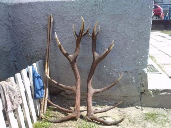 16 torák - Kamarát ma predbehol