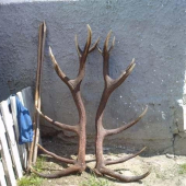 16 torák - Kamarát ma predbehol