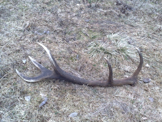 10-torák, 3,5 kg, druhý má kolega