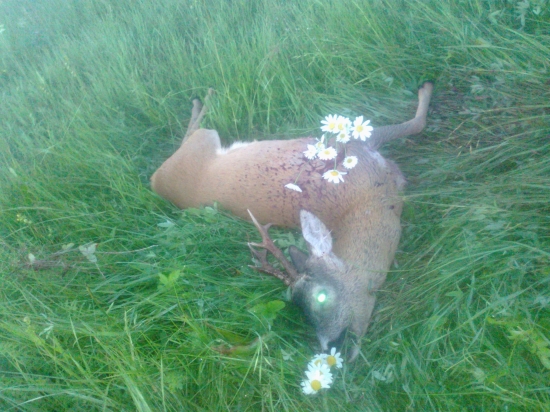 dnesny prvy tohorocny