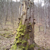 ...stary medzi mladymi...