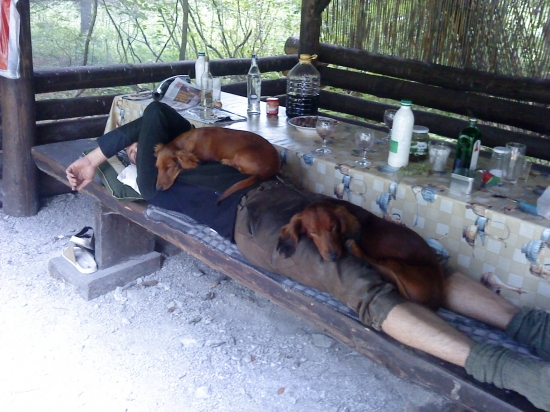 Jelenie ruje byvaju namahave....