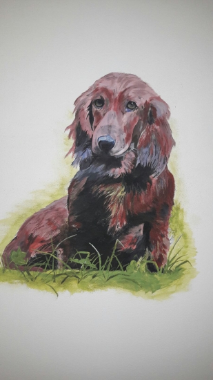 Najvernejší priateľ...