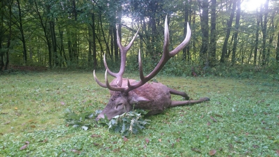 V upršané ráno...