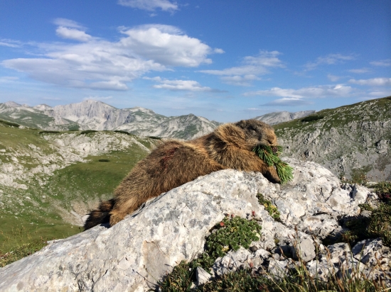 Tam u nebeskych bran...