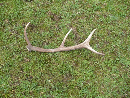 prvy tohtoročny , veľmi potešil