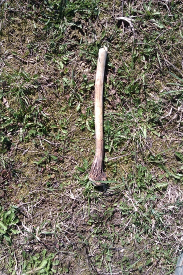 aj taky sa da najsť na veľkonočny pondelok